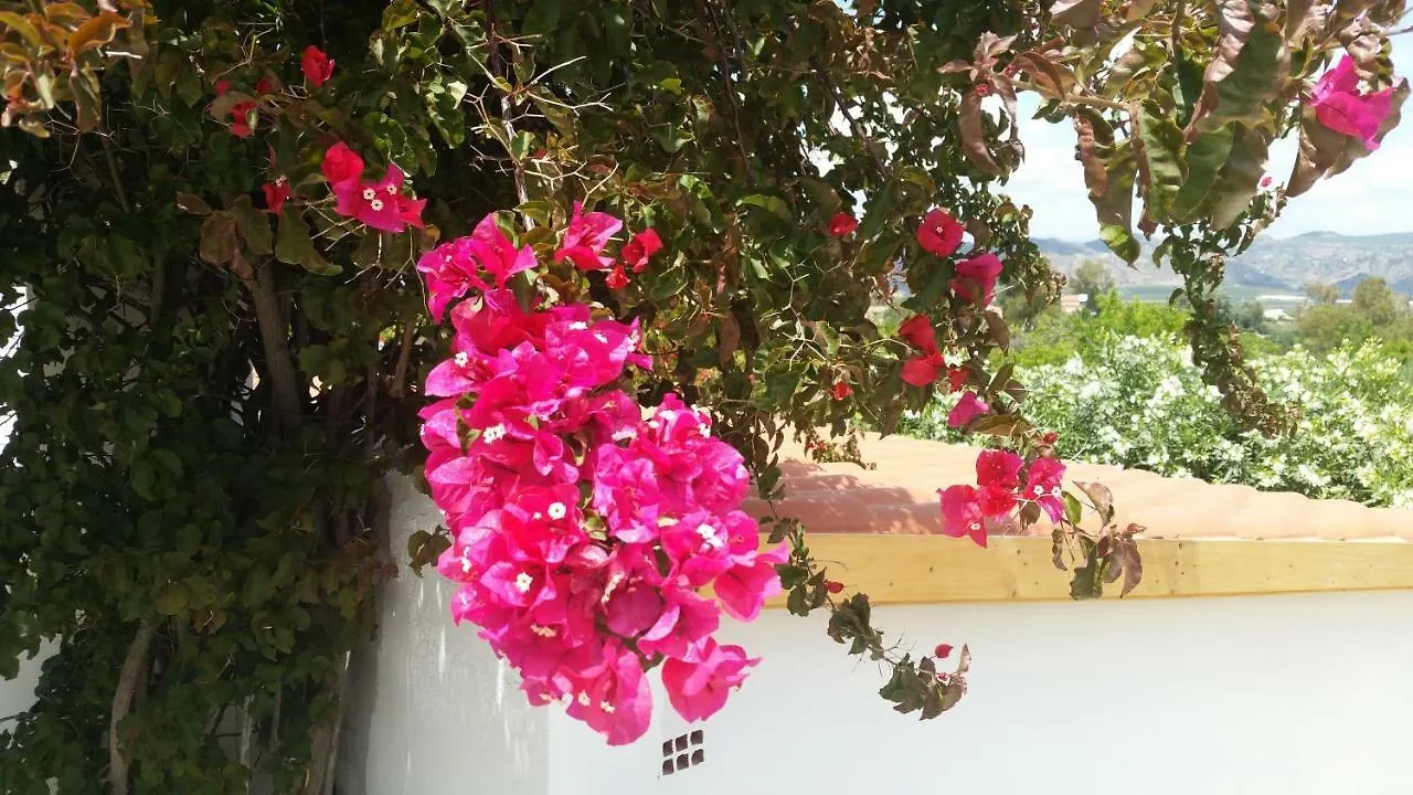 Finca Rayo Del Sol 阿尔豪林格朗德