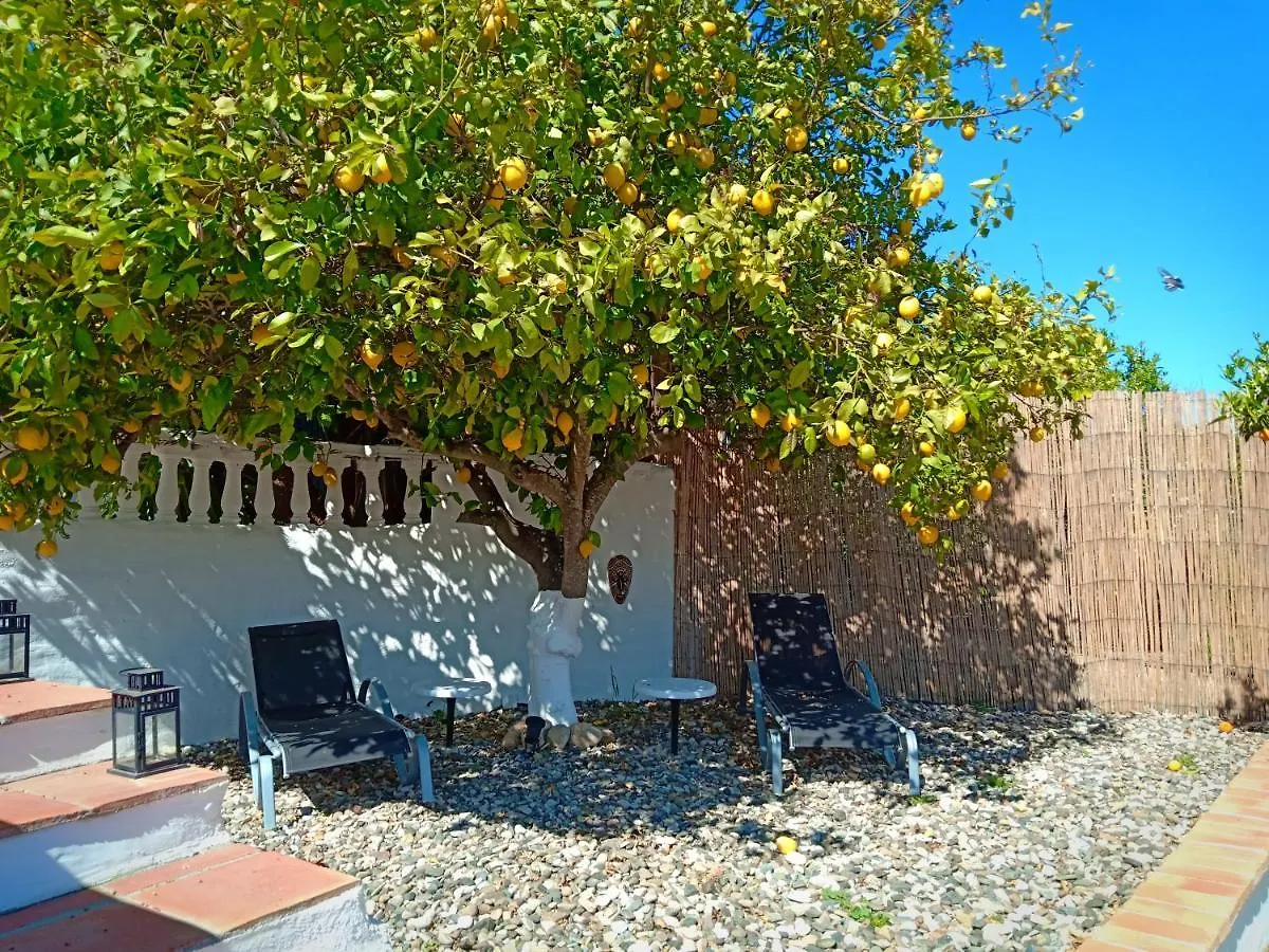 Finca Rayo Del Sol Alhaurin el Grande Bed & Breakfast